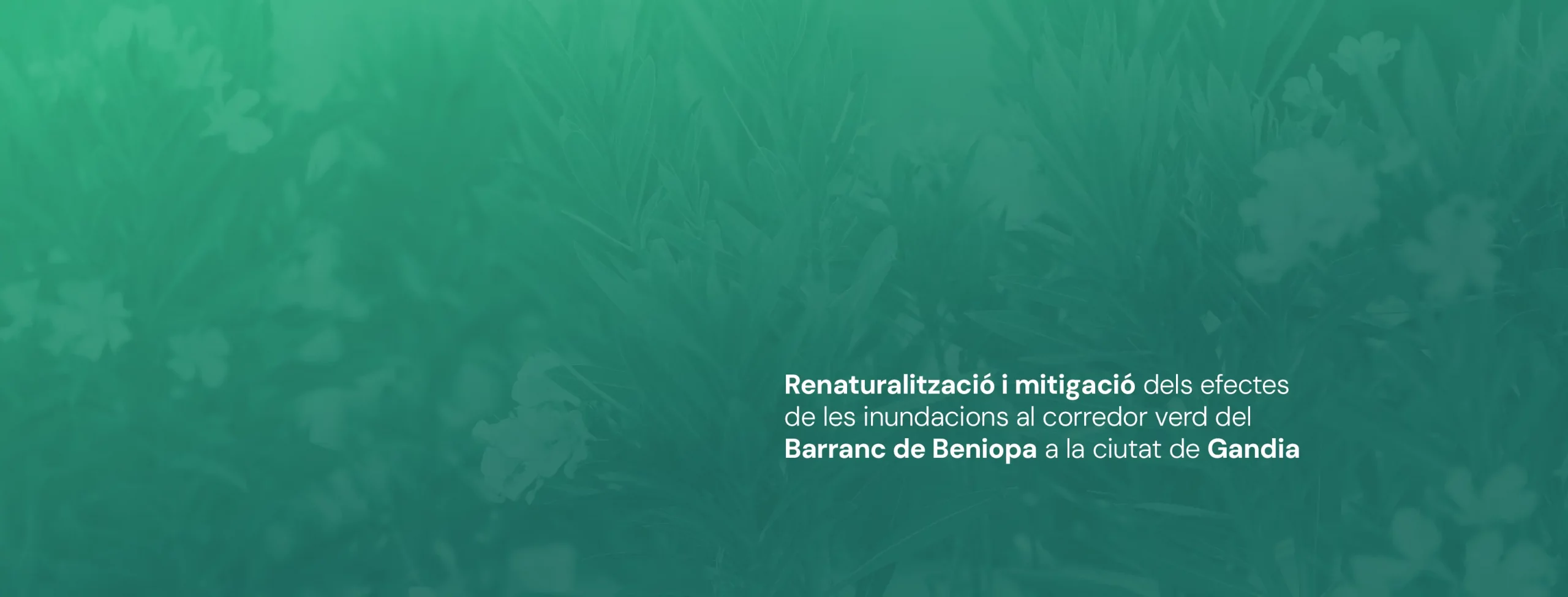Diseño imagen corporativa proyecto Ayuntamiento de Gandía